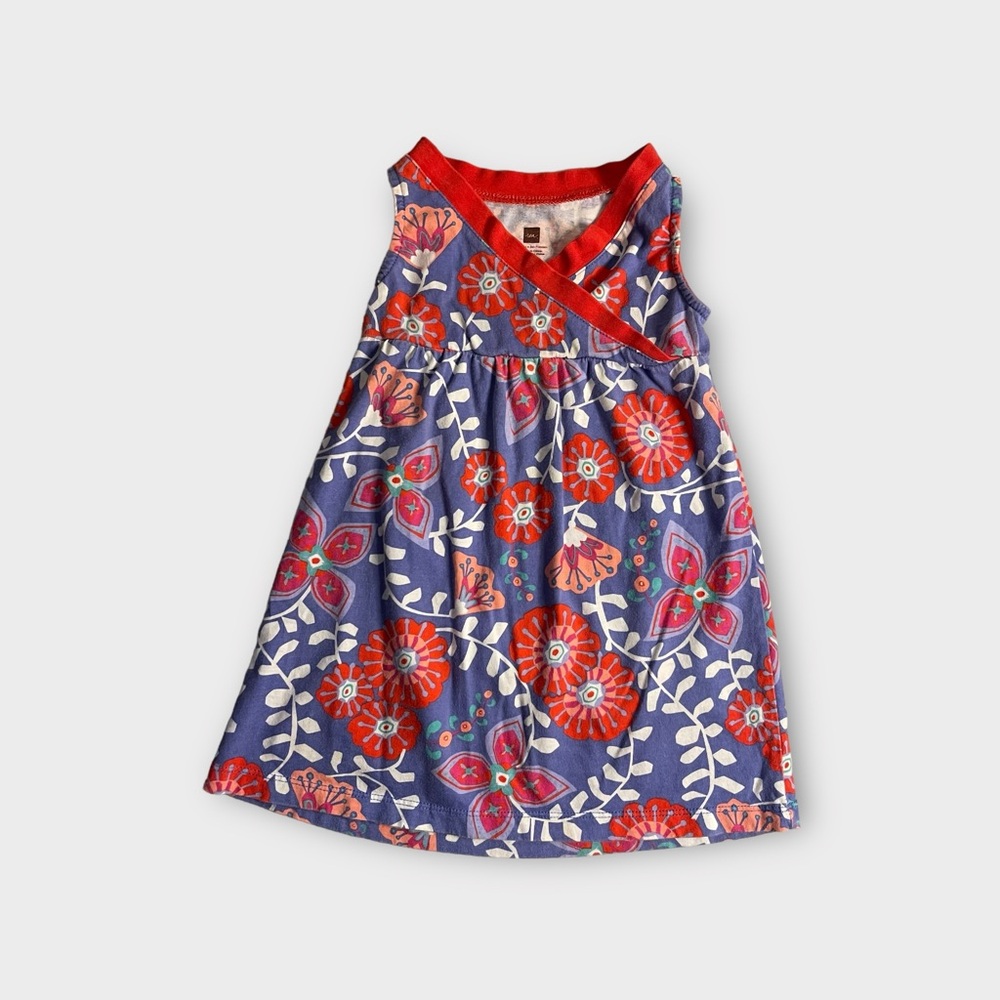 Tea Collection Blue & Red Floral Dress